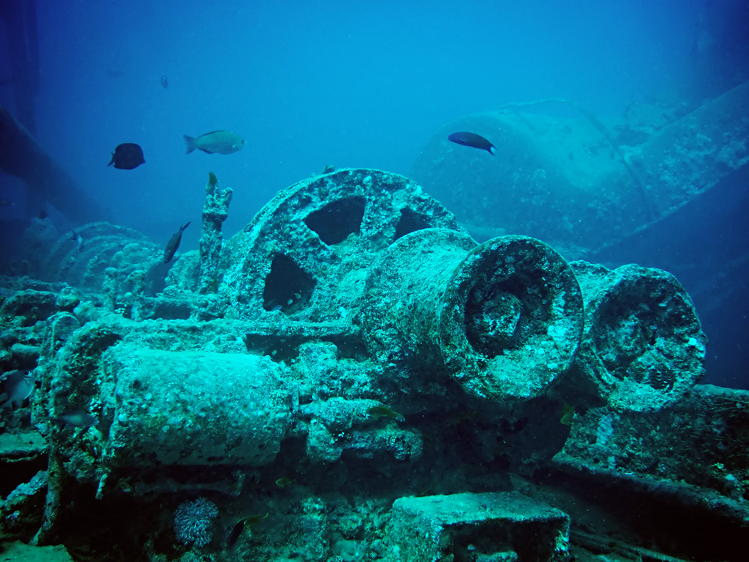 Thistlegorm_train_parts_minus_red_edit.jpg