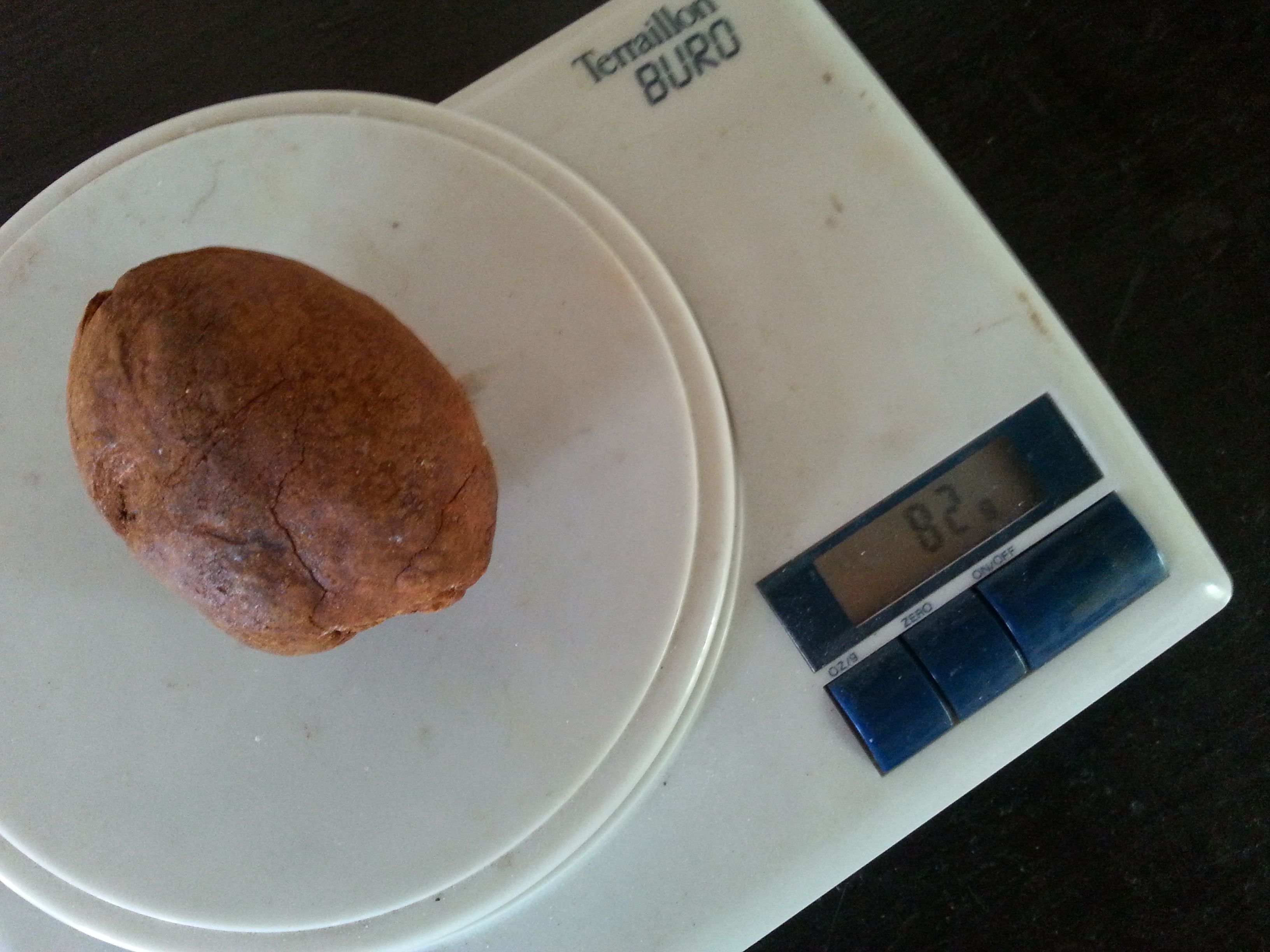 Calculo Biliar Bovino, el Oro de las vacas! — Steemit