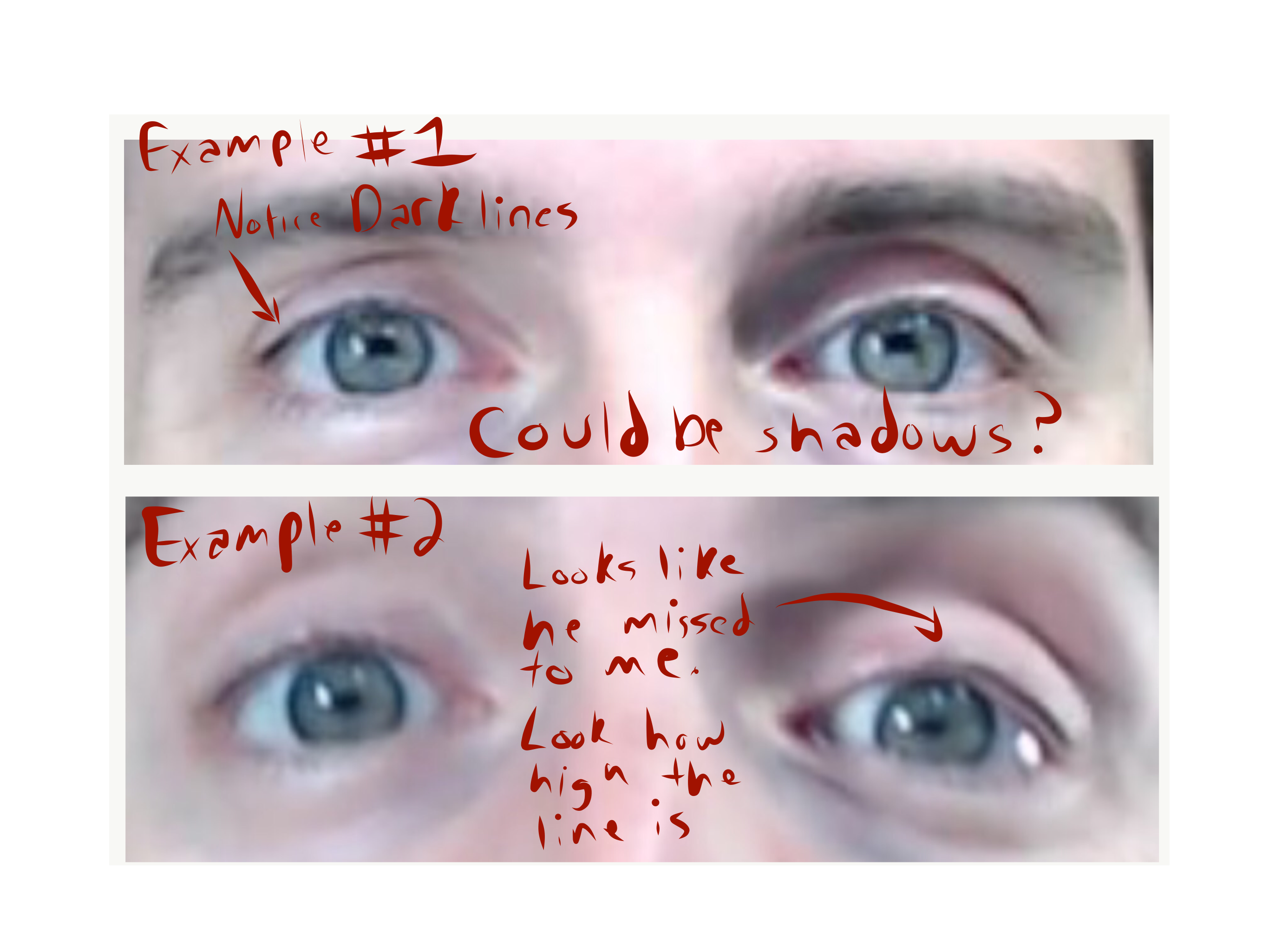 IMG_1032.PNG