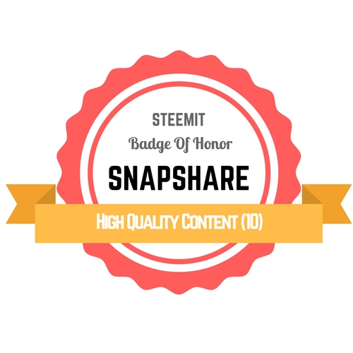 High Quality Content (10) SnapShare Badge Of Honor.jpg