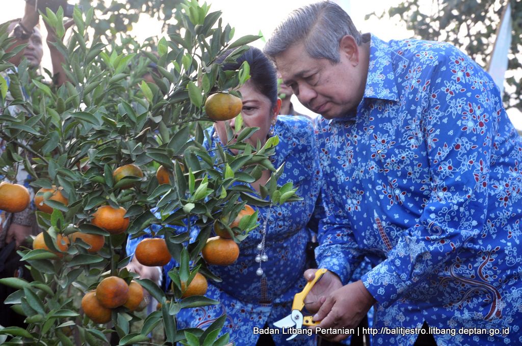 SBY dan Jeruk Gayo.jpg