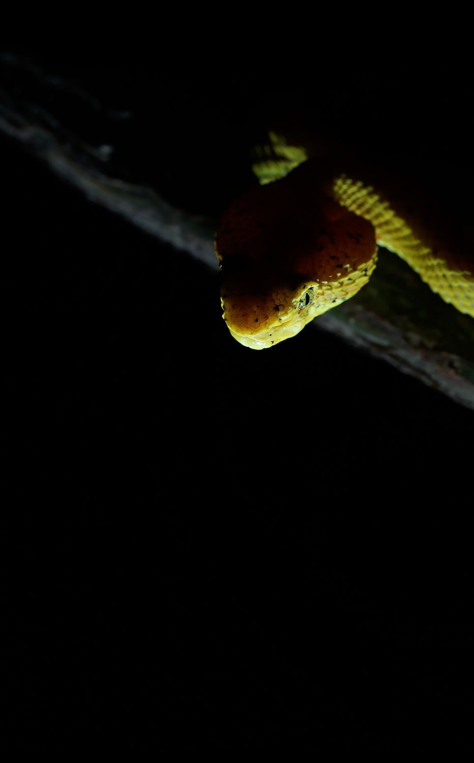 CostaRicaBerroneau-015.jpg