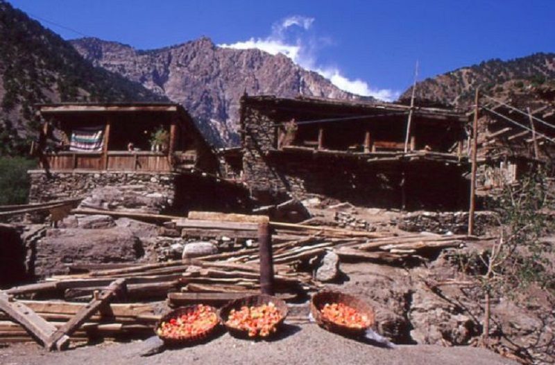 Fruit Market.jpg