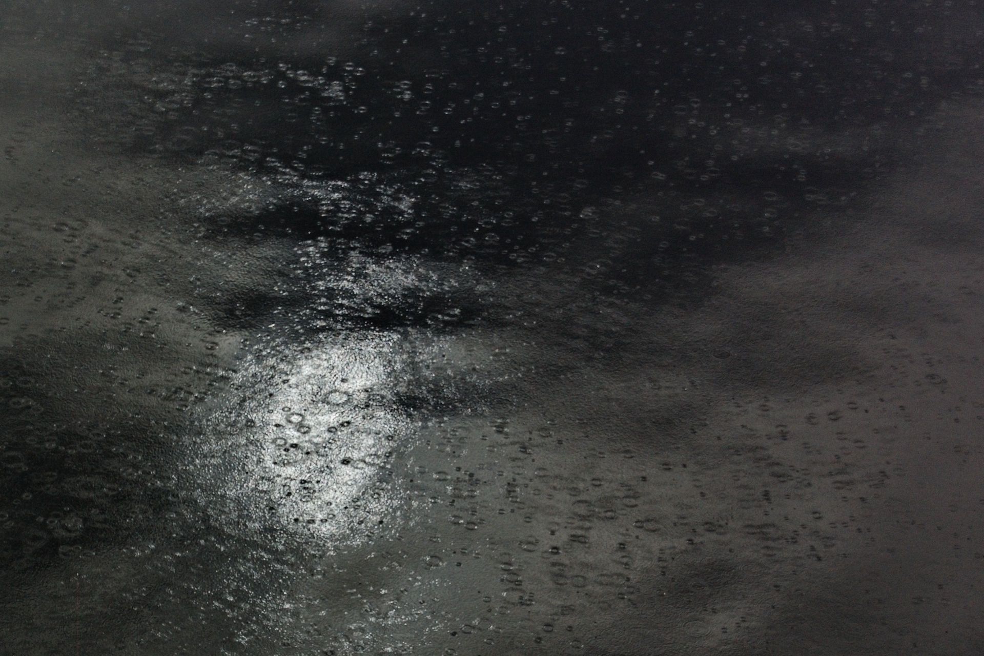 DSC_8319.jpg