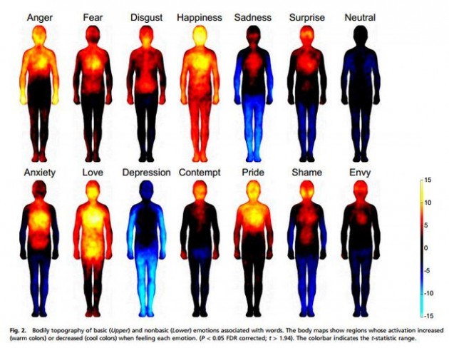 mapas-cuerpo-humano-emociones.jpg