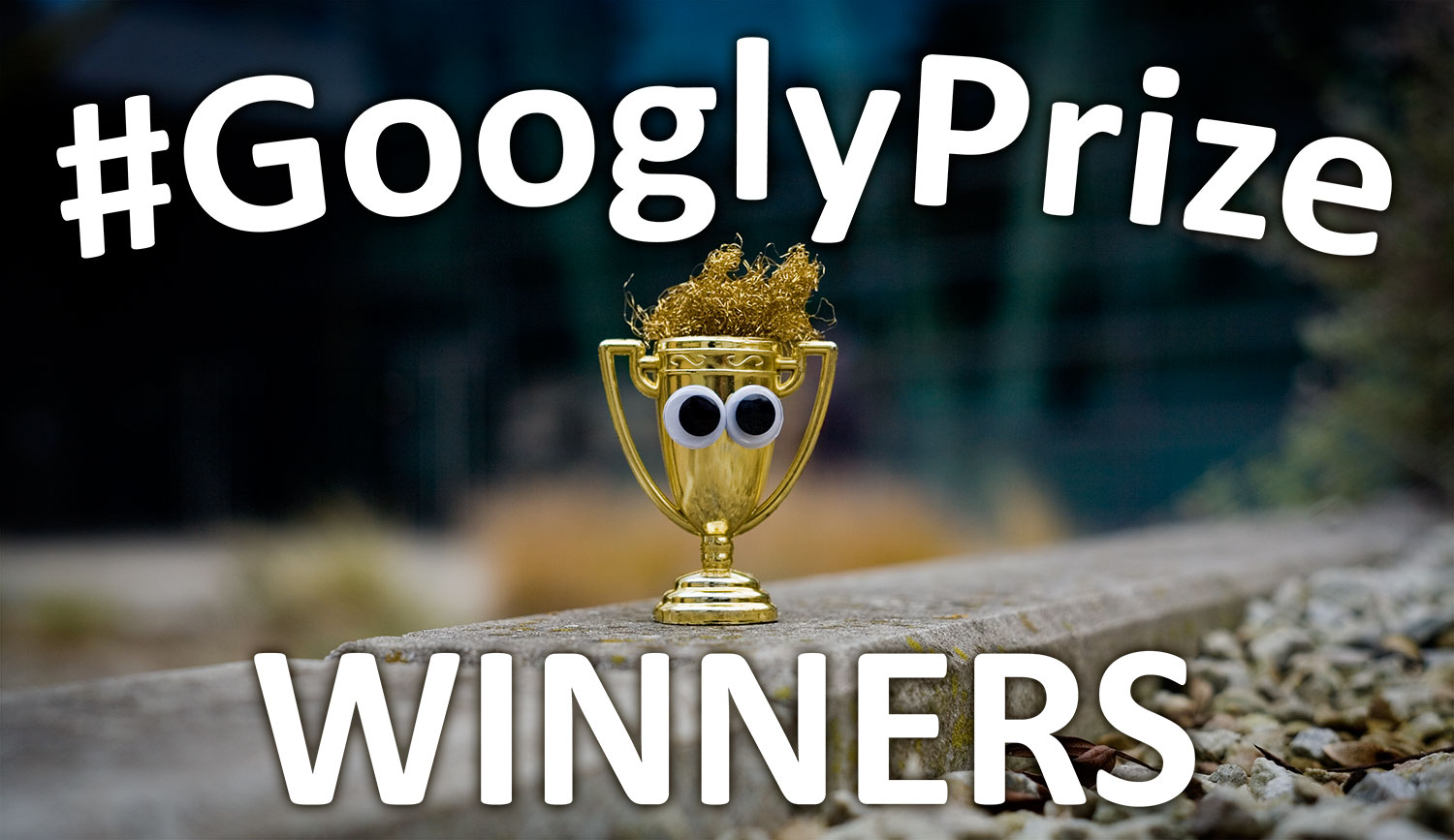 GooglyPrize Winners 21