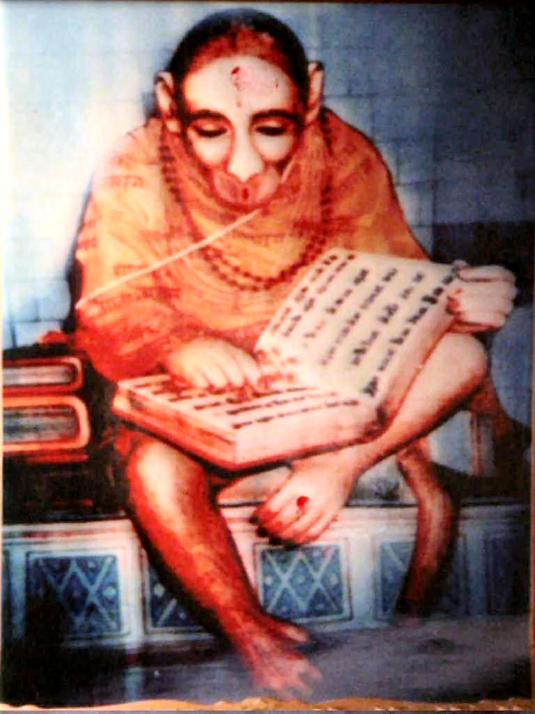 Story of Real and Original Hanuman photo from Hiamalaya reading ...