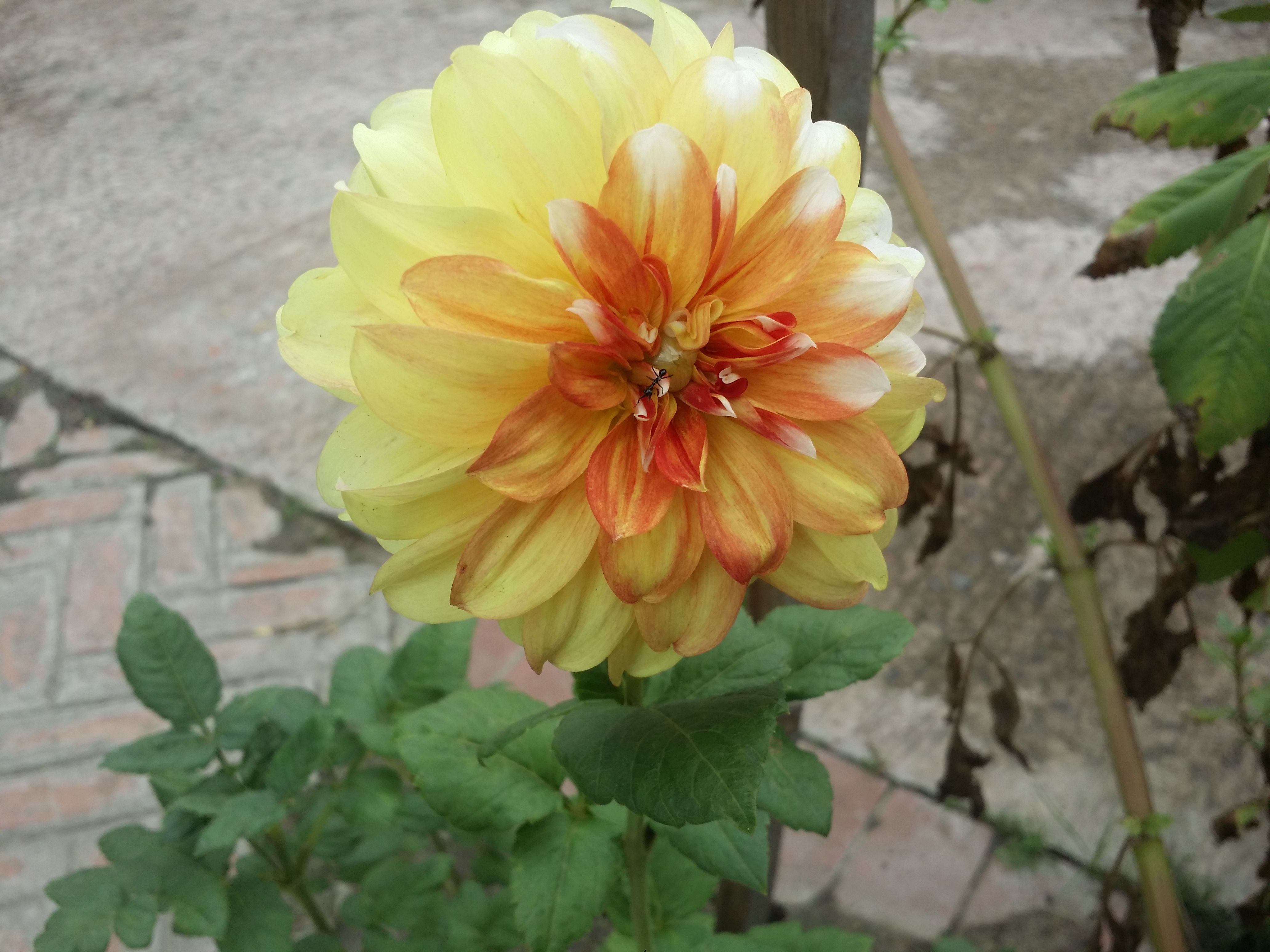 20170421_132109.jpg