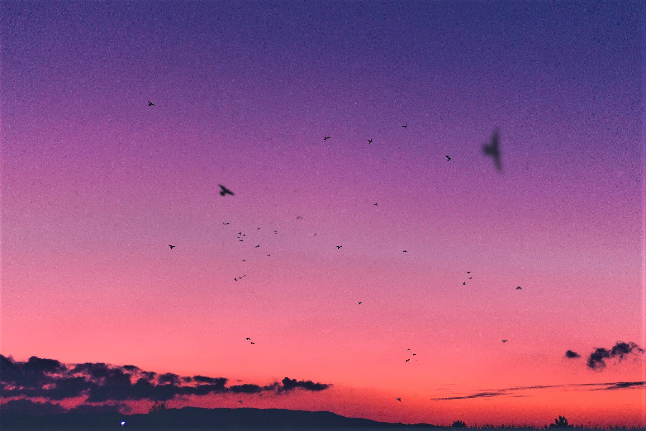 Toluca, Mexico diego-hernandez.jpg