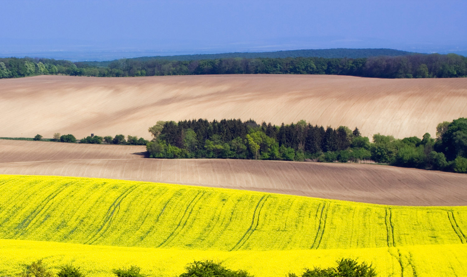 Moravian Fields, Czech Republic 🌄 |Wonderful Collection Of Photos| 🌅