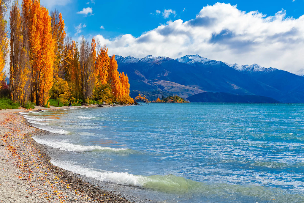 New Zealand South Island ,5.jpg