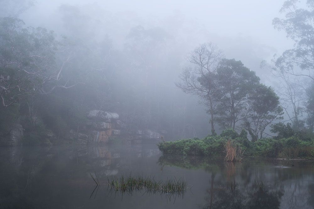 foggy-autumn-landscape.jpg