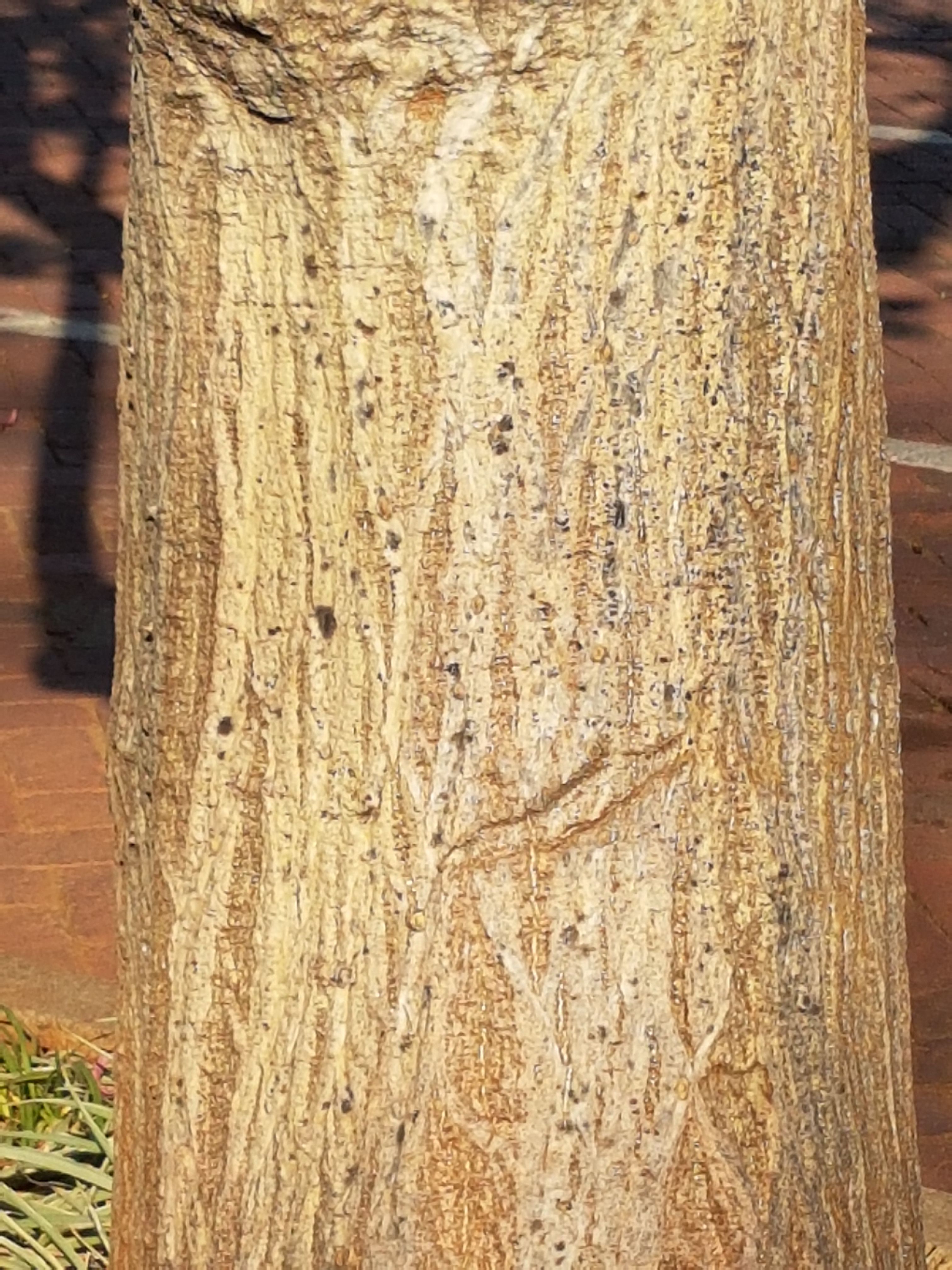 20170727_091754.jpg