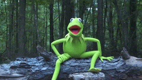 giphy (1).gif