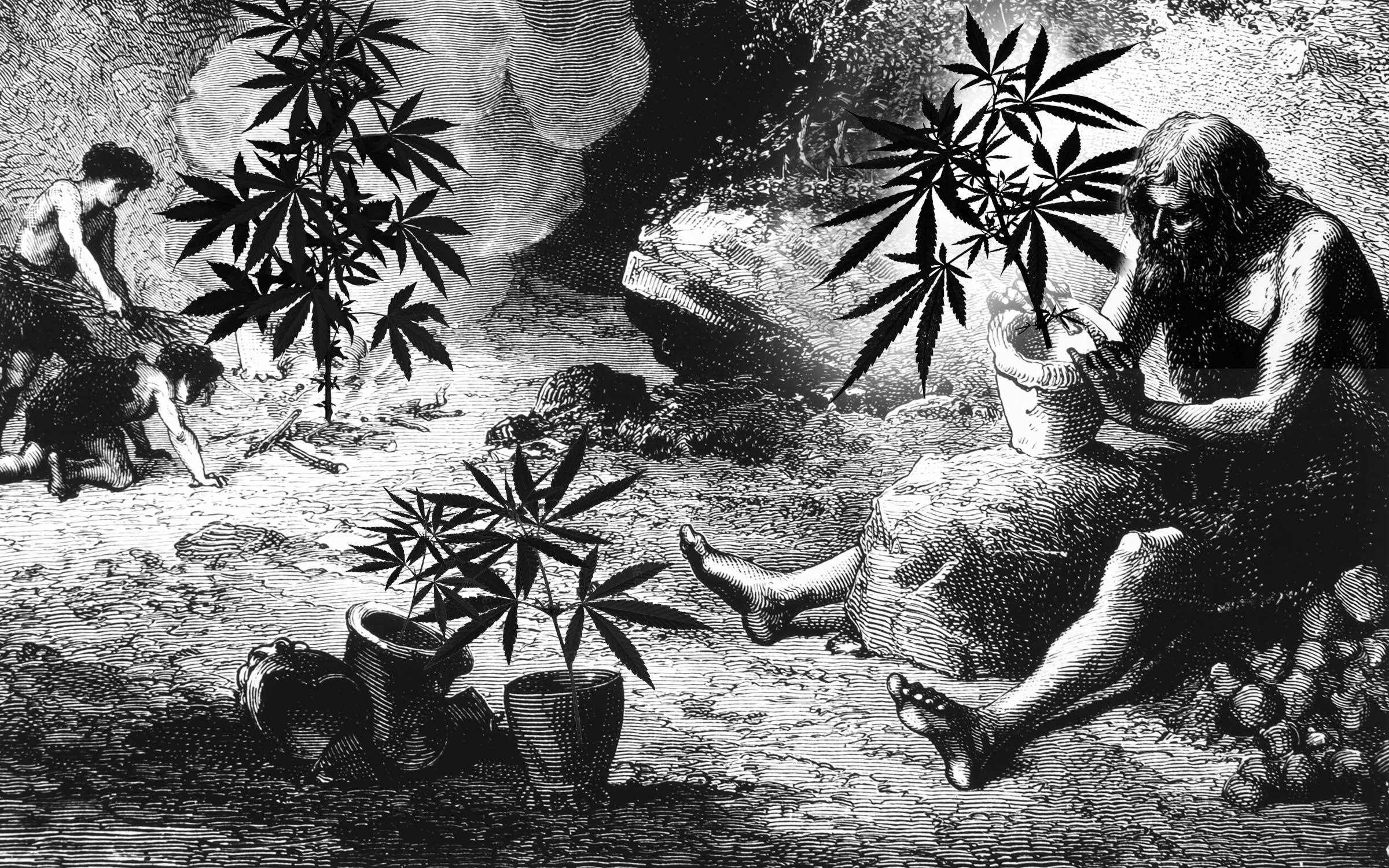 марихуана история i