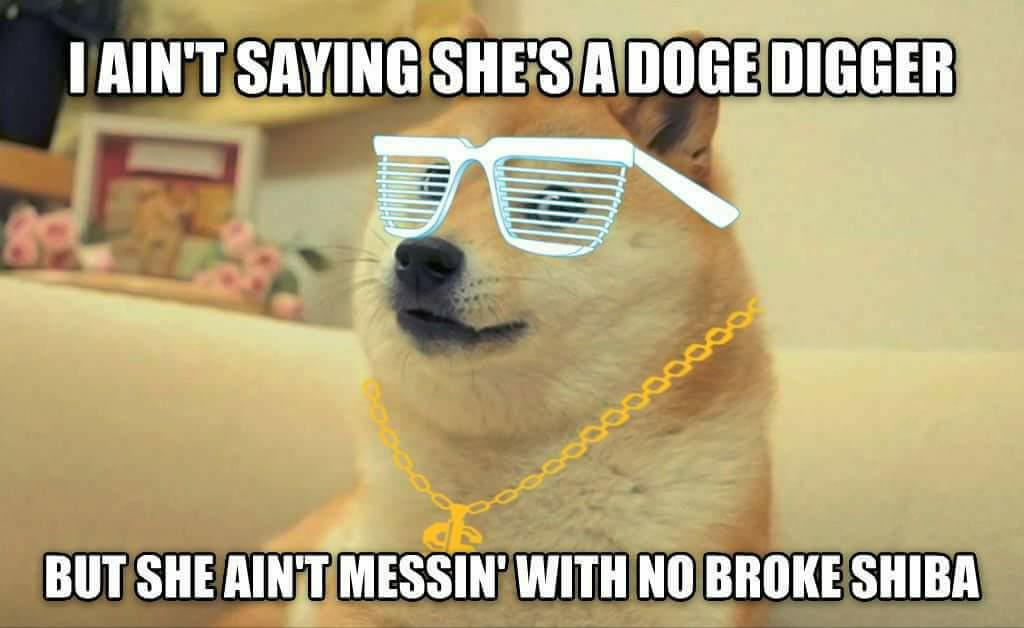 doge-digger-crypto.png