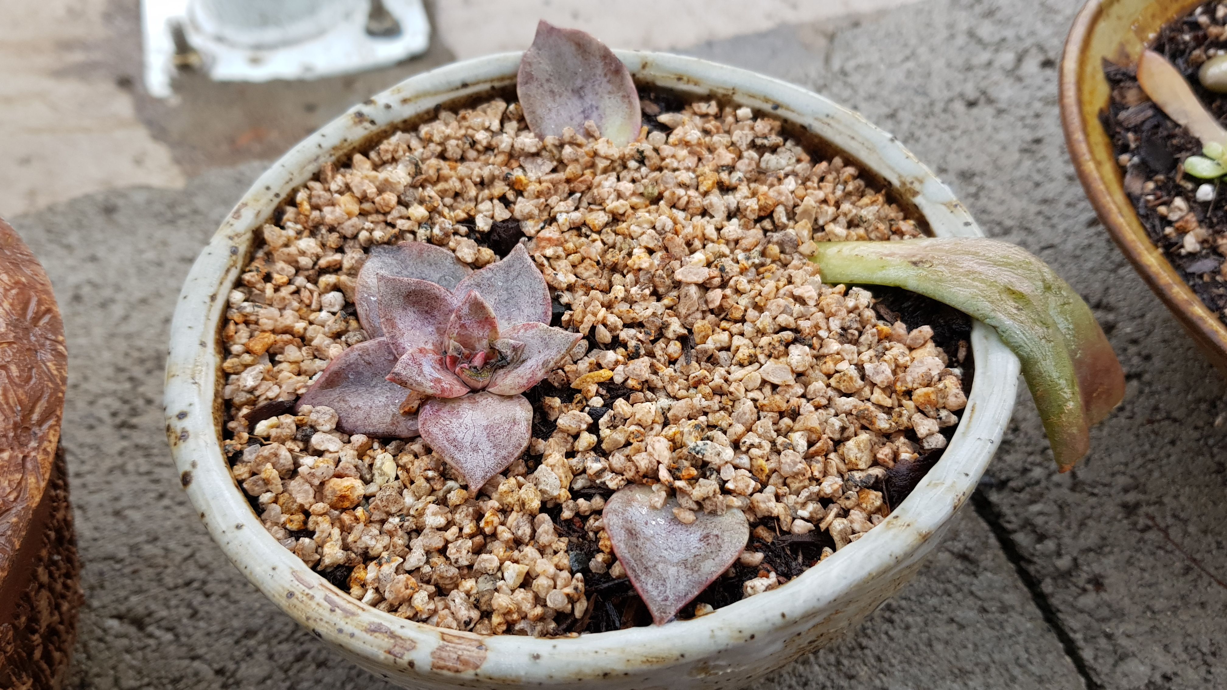 20180414_100632.jpg