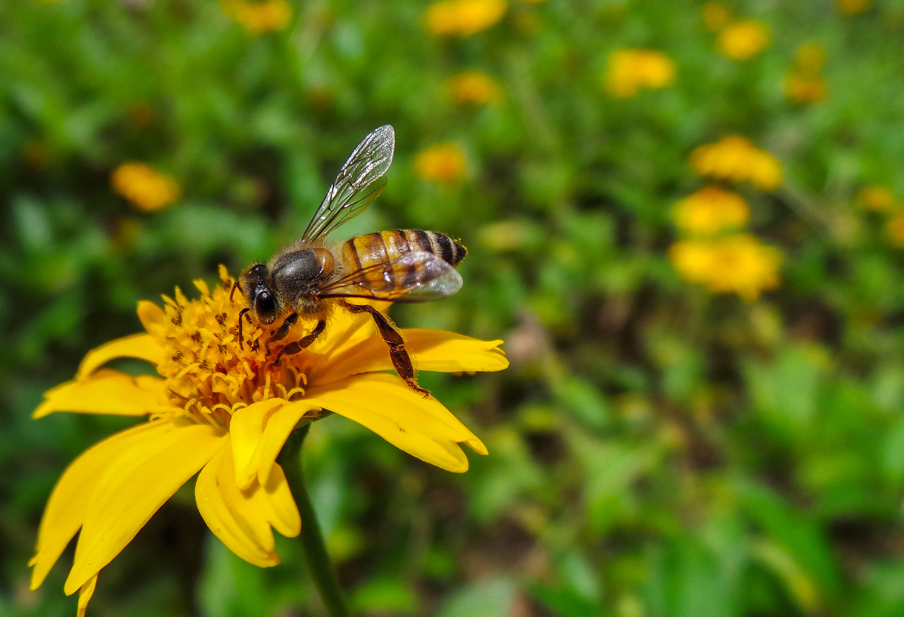 calvin 5 (1 of 1).jpg