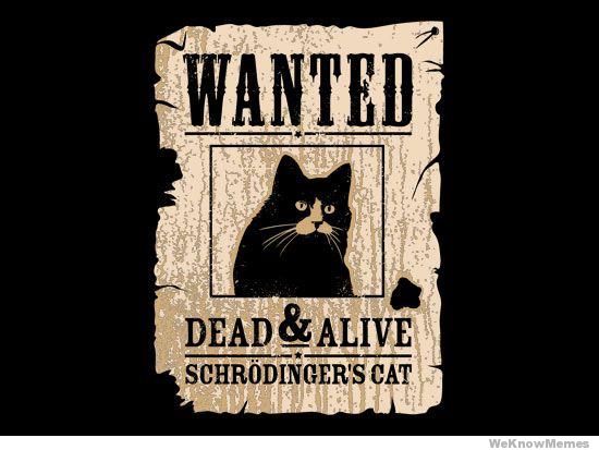 wanted-dead-or-alive-schrodingers-cat.jpg