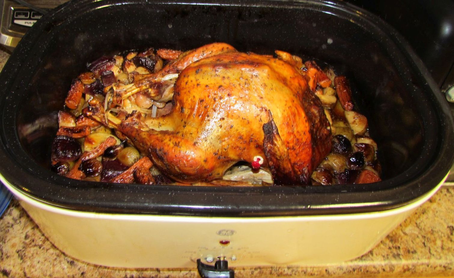 20141230 021 Thanksgiving turkey.jpg