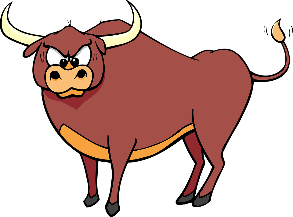 bull-46367_960_720.png