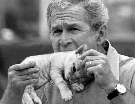 president_bush_eats_kitten.jpg