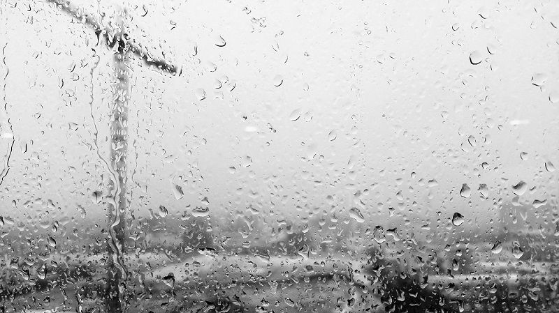 rain drops crane.jpg