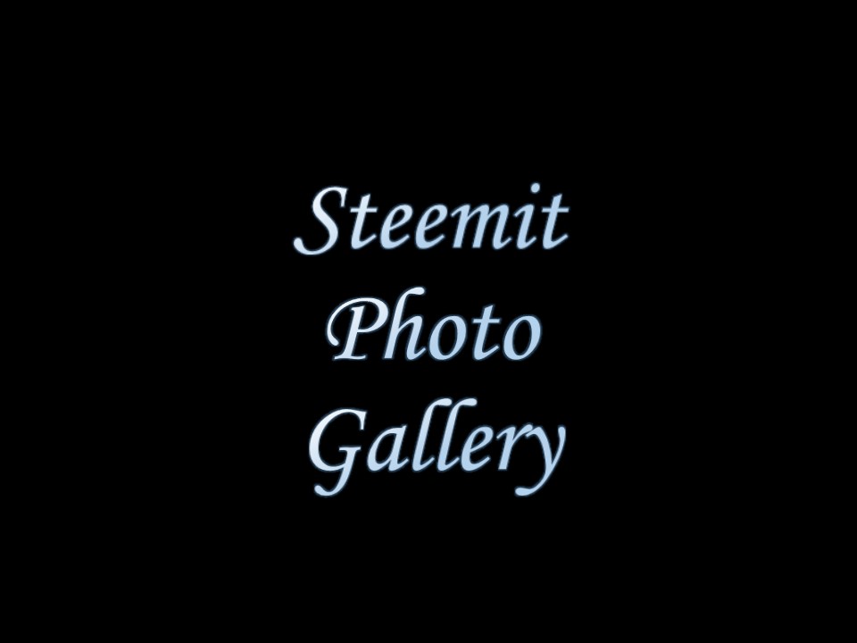 Steemit Photo Gallery profile.jpg