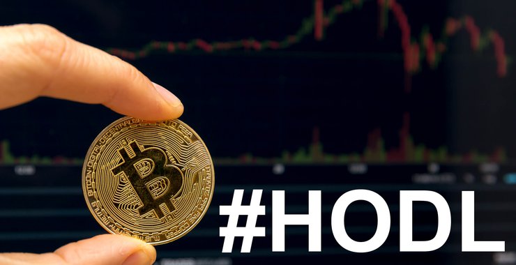 hodl.jpg__740x380_q85_crop_subsampling-2.jpg