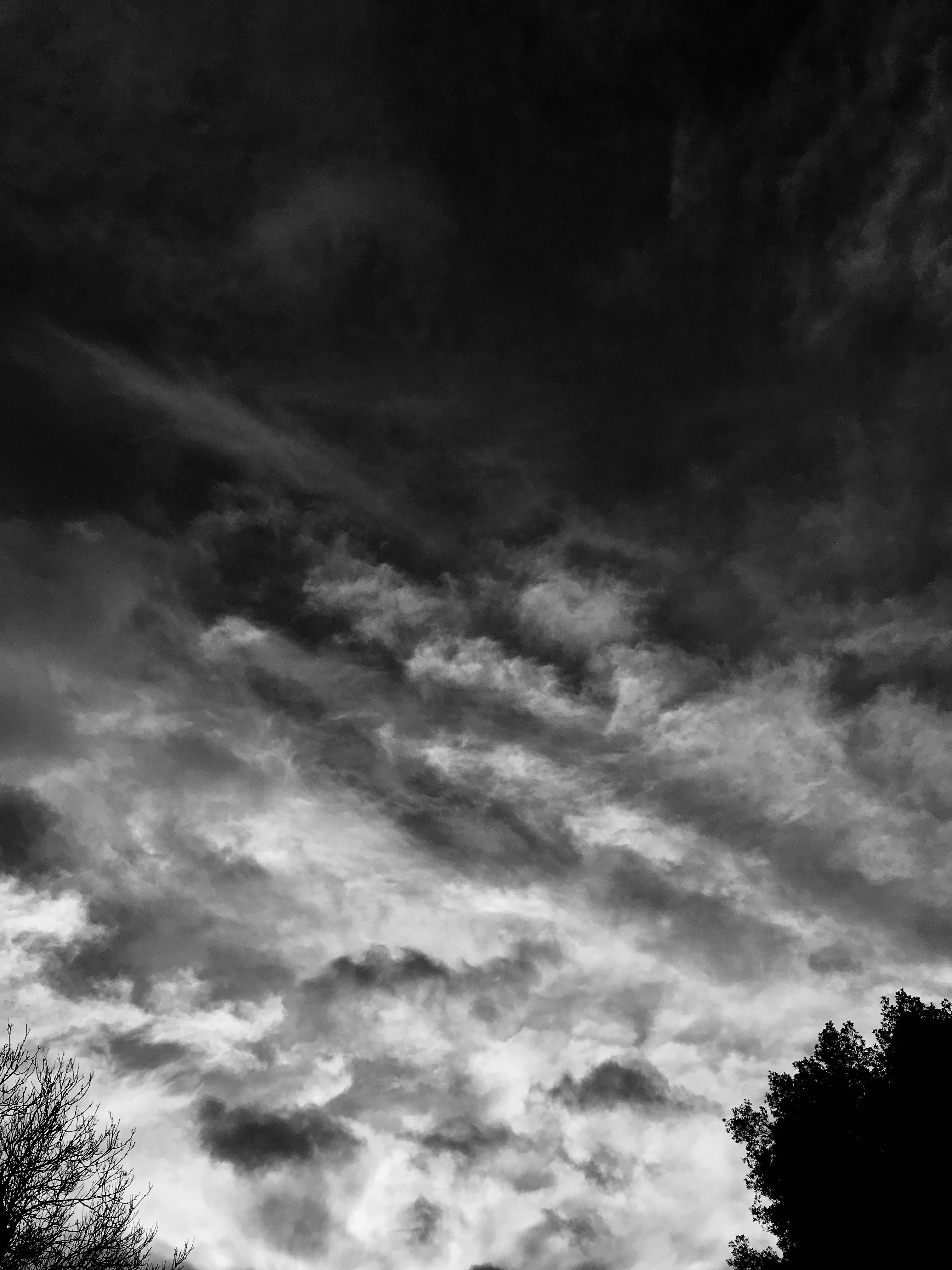 07BE551D-A90C-4B33-A138-6978CE9AA5FA.jpeg