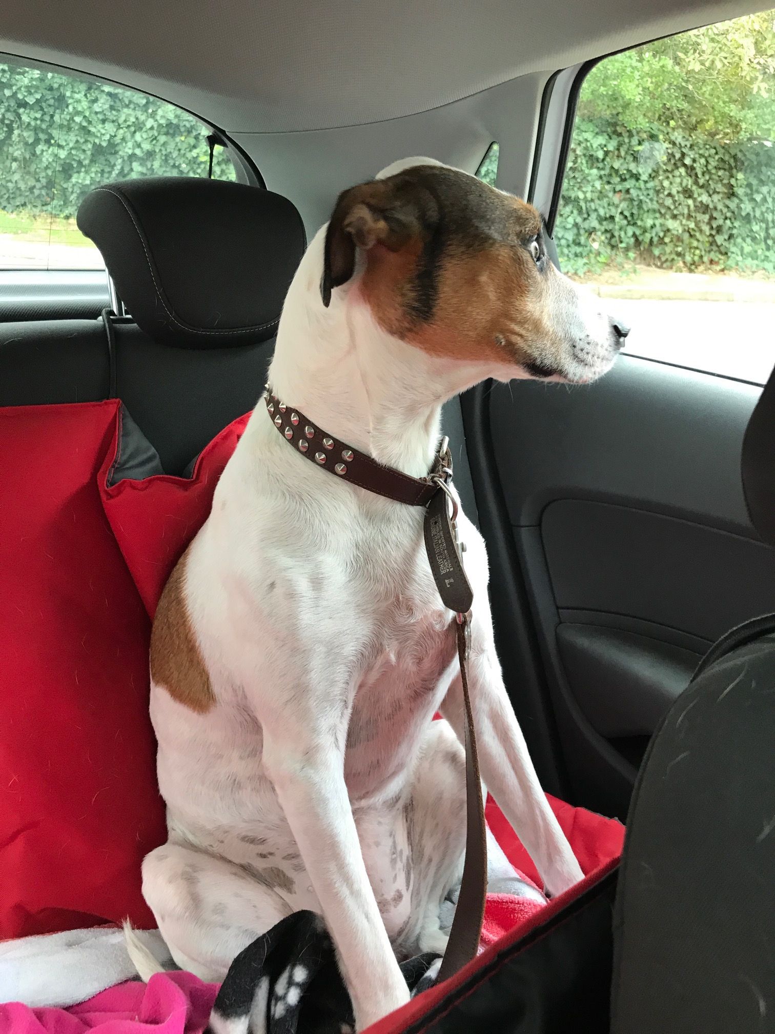 khaya sitting in the car.JPG