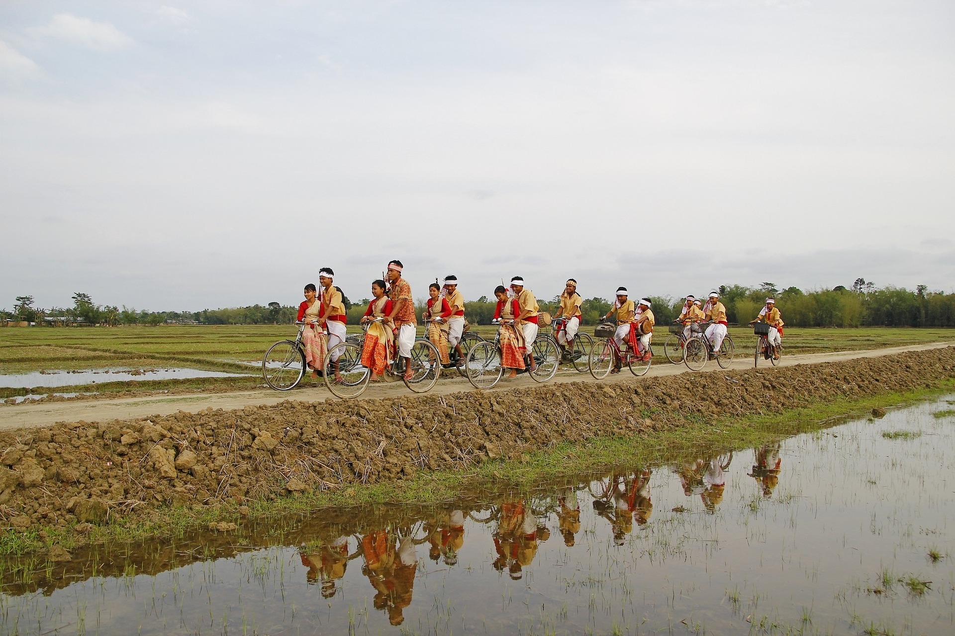 bihu-169921_1920.jpg