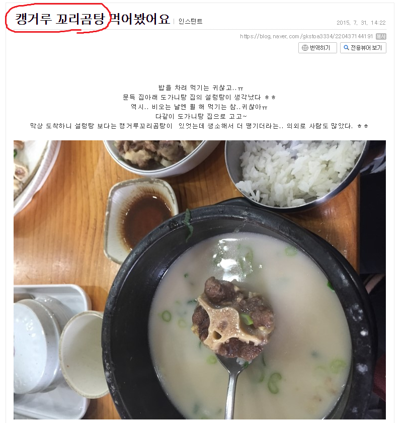 캥거루꼬리곰탕.png