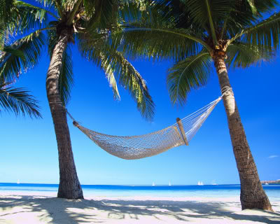 Hammock in paradise.jpg