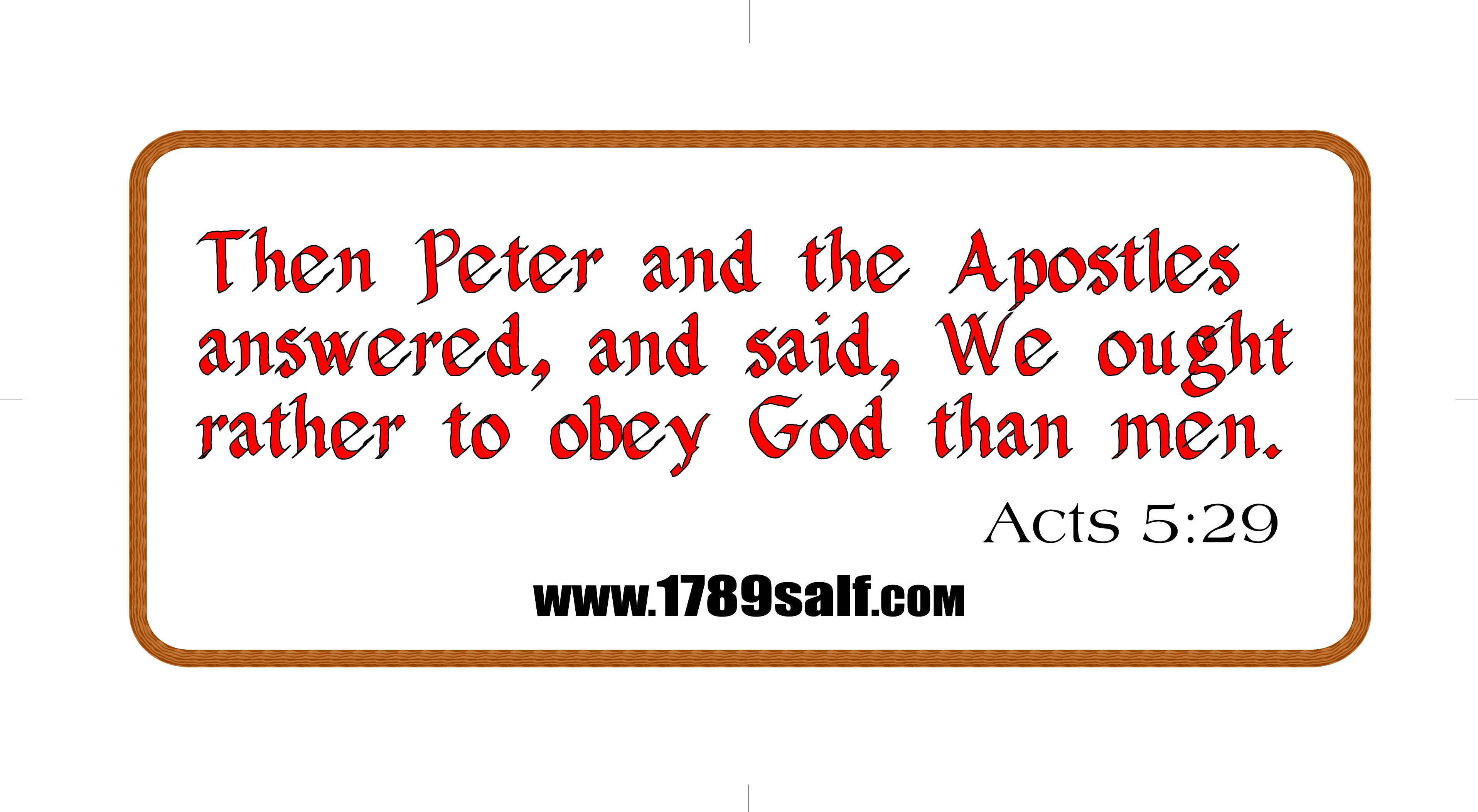 license plate - acts 5-29 - salf - back.jpg