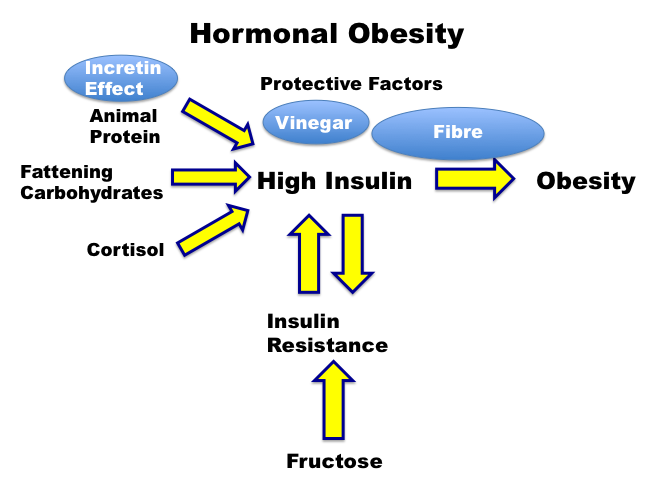 calories hormonal obesity.png