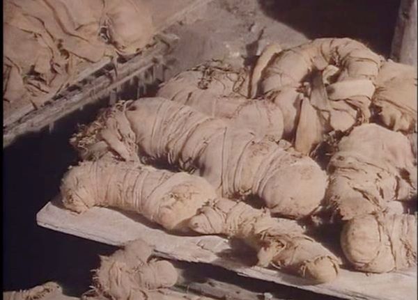saqara-mummies.jpg