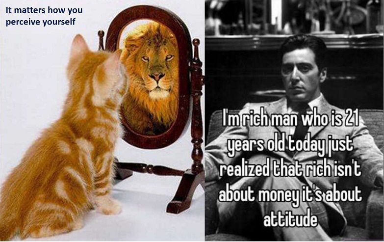 Cat mirror lion attitude 1.jpg