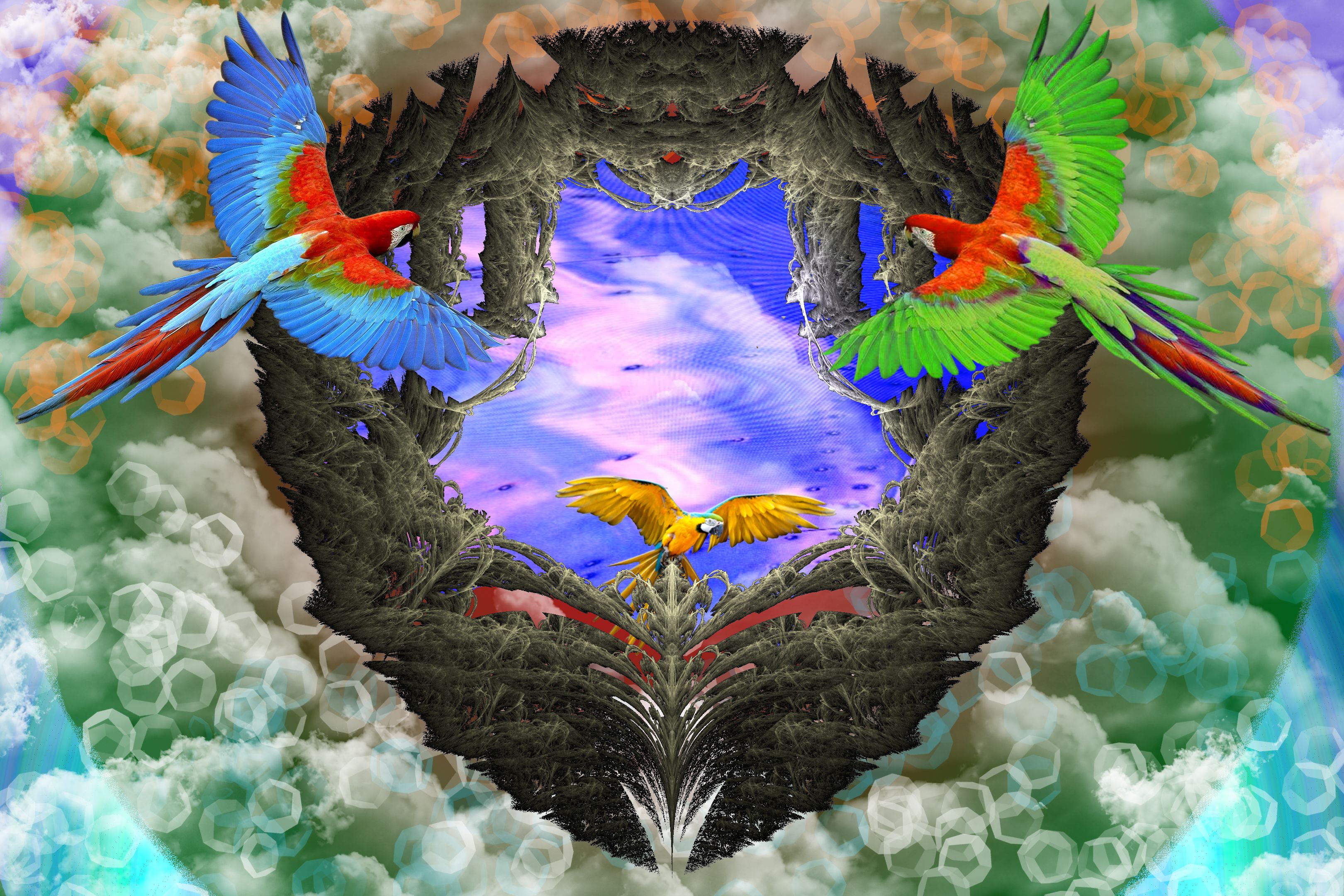 Parrot collab.jpg
