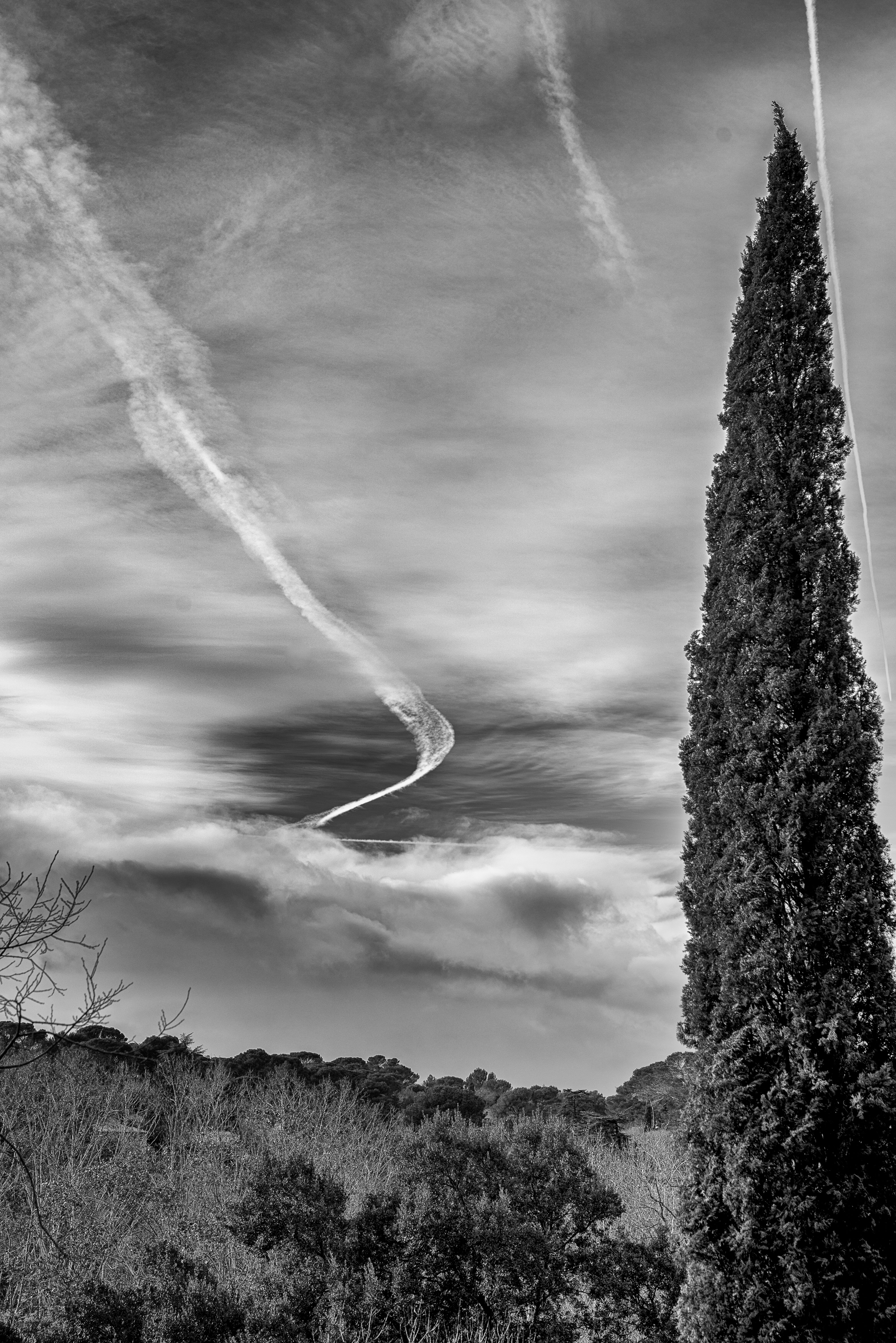 20180104_Castelnau_le_Lez_B&W_014.JPG