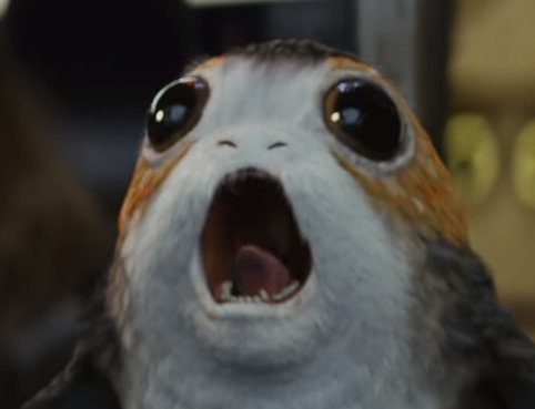 STAR WARS GERBIL.jpg