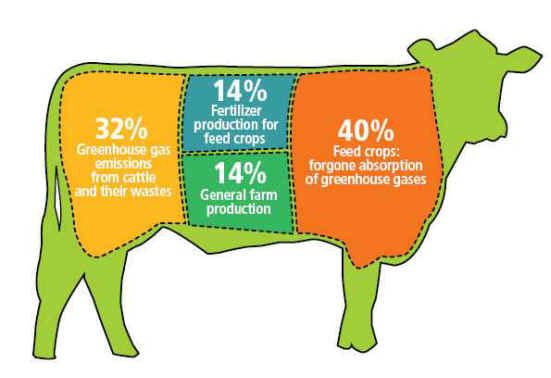 fed29fcc1ef4513089cc29460908c416--why-vegan-vegan-vegetarian.jpg