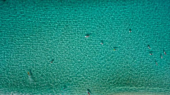 aerial-view-of-surfers-on-smooth-water-oahu-hawaii.ngsversion.1503408625453.adapt.590.1.jpg