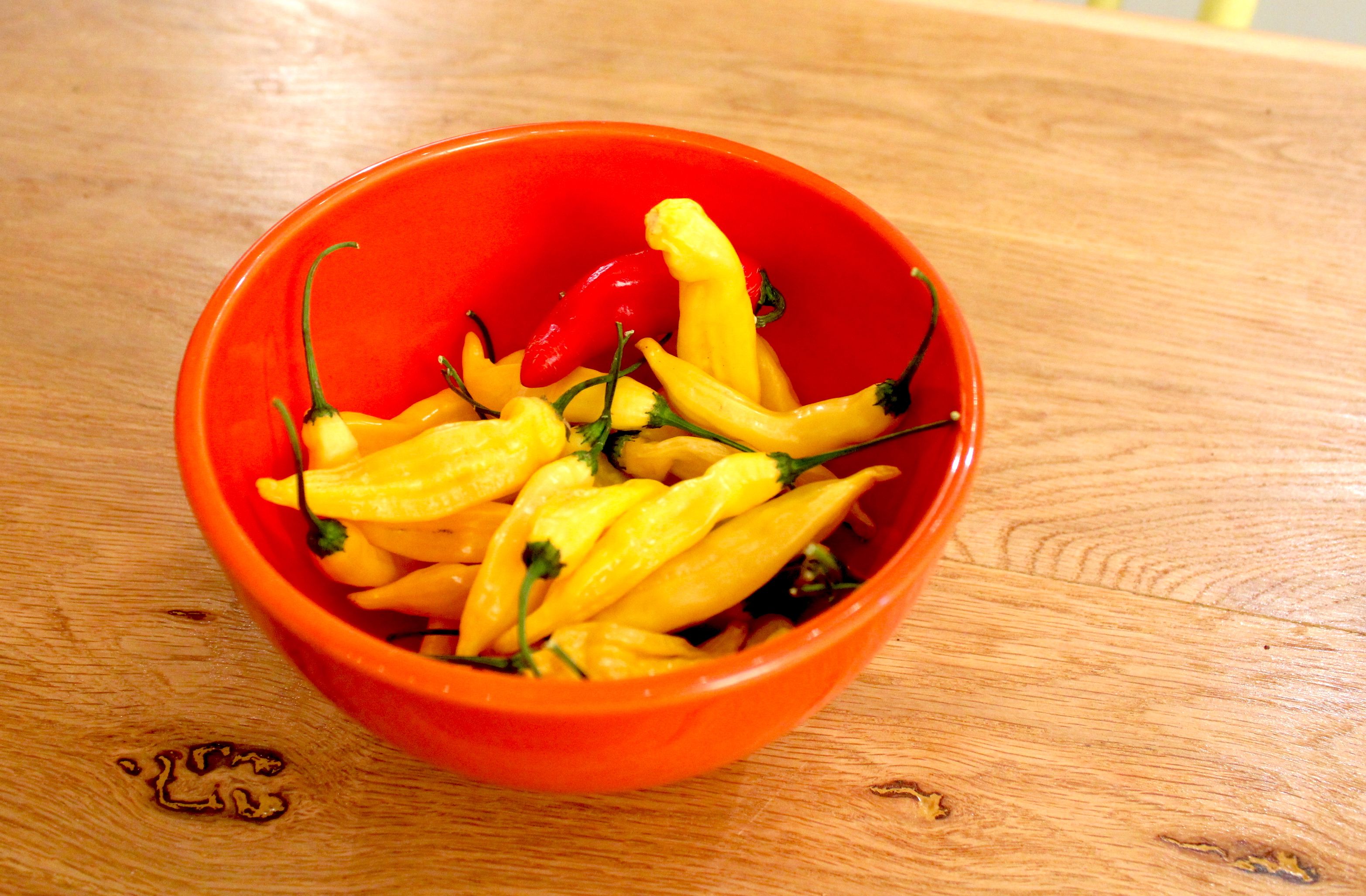 2 ls bowl of peppers 2017-10-03 11.56.23 copy 2.jpg