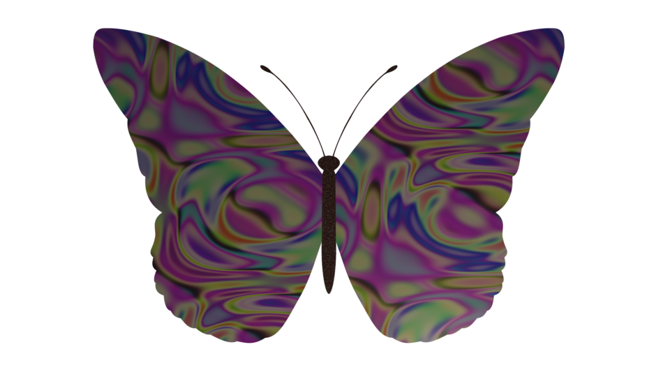 schmetterling v1.png