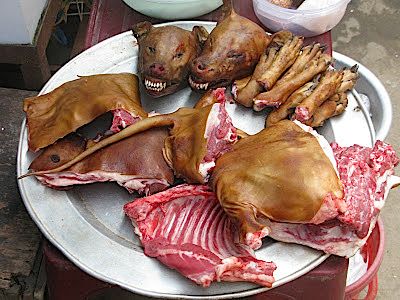 yulin-fact-3.jpg