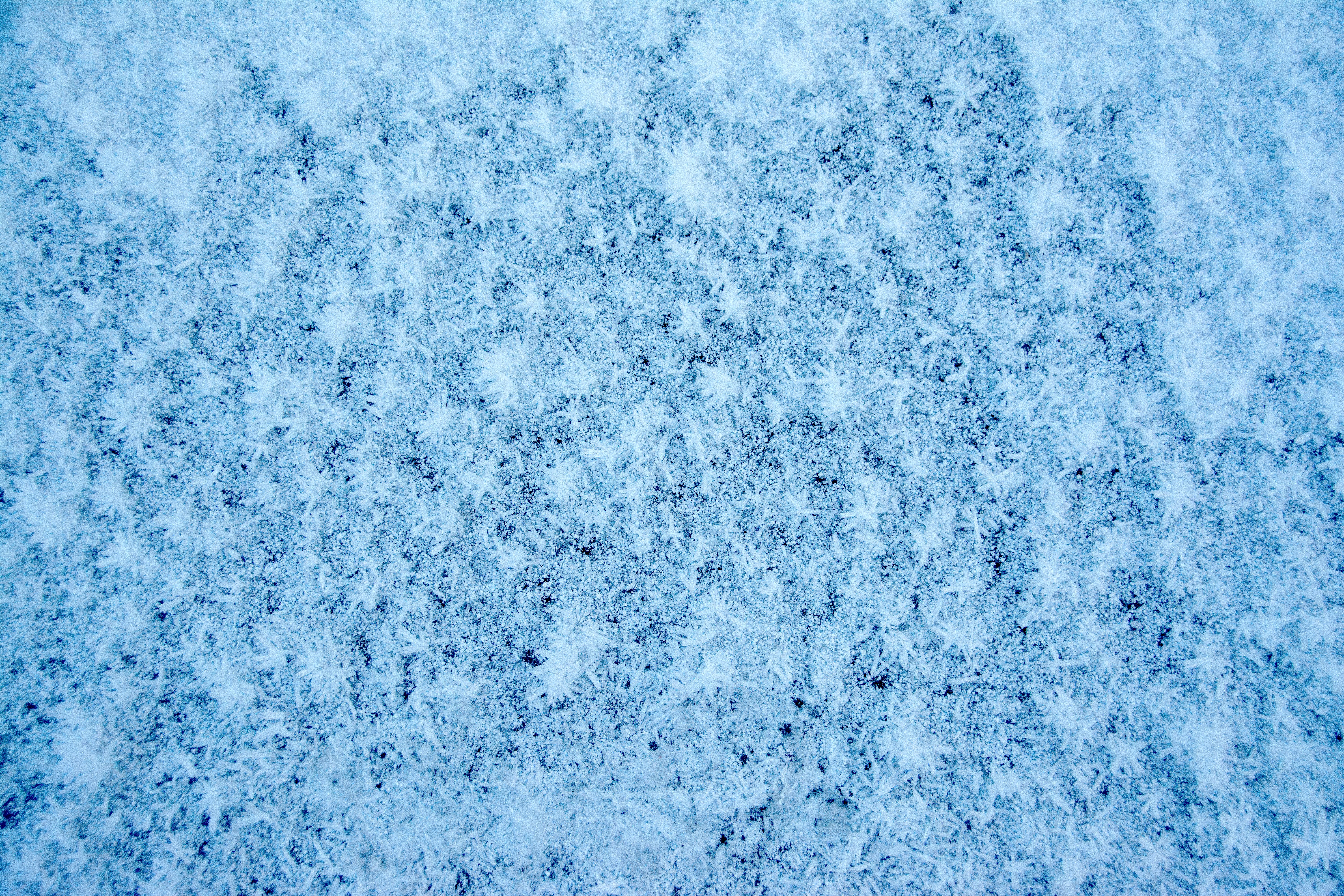 DSC_0131.jpg