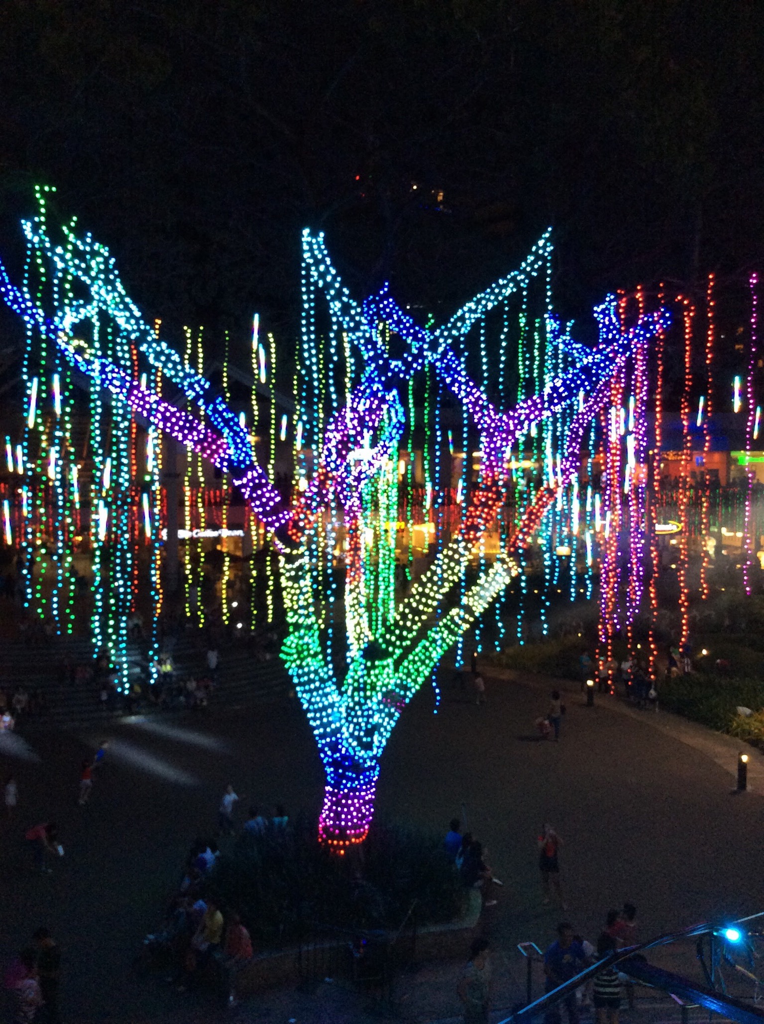 2D0AEBB0-1868-4D38-813D-48FD12039E28.jpeg