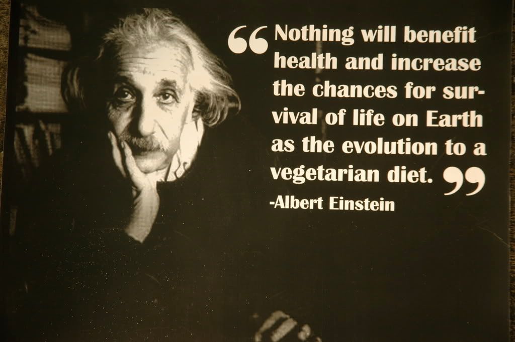 Albert einstein vegetarian quote 3.jpg