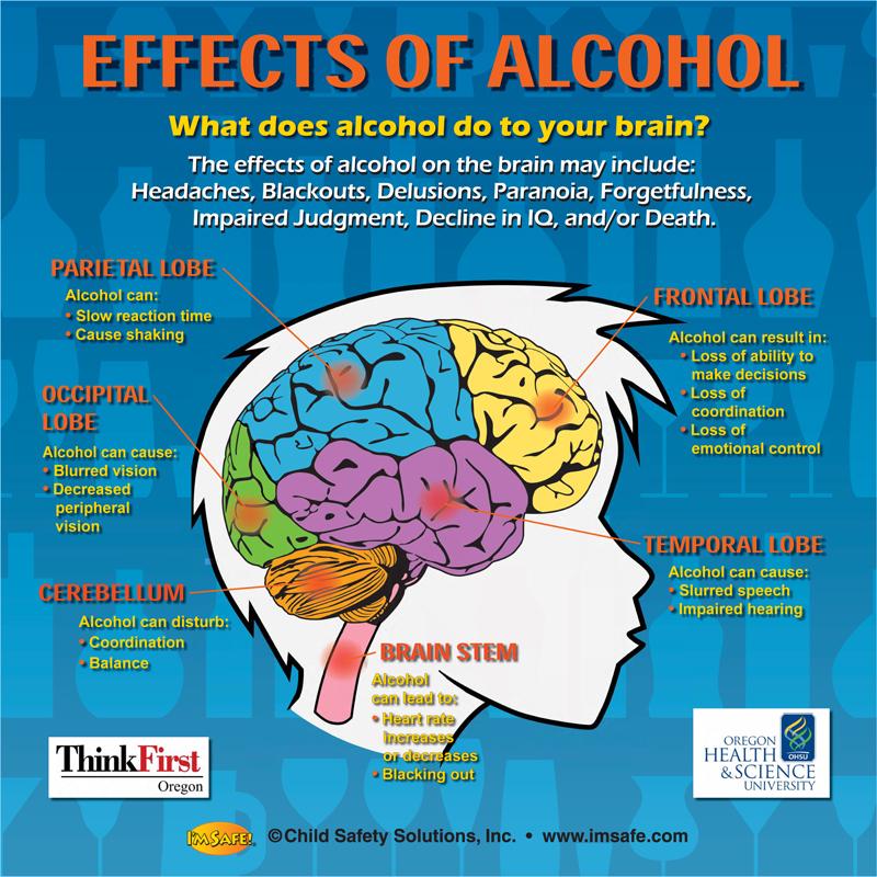 Brain effect. Головной мозг и алкоголь. Influence of alcohol on Brain.
